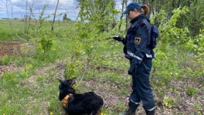 Потерявшуюся в Вологде девятилетнюю девочку нашли мертвой