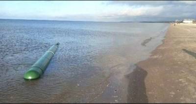В Северодвинске к берегу моря прибило восьмиметровую торпеду