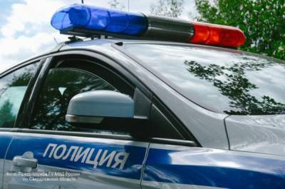 Пропавшая в Вологде девятилетняя девочка найдена мертвой