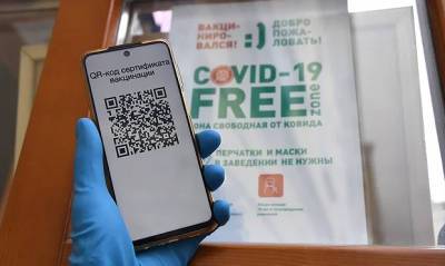 Власти Петербурга с 1 ноября вводят систему QR-кодов для посещения общественных мест