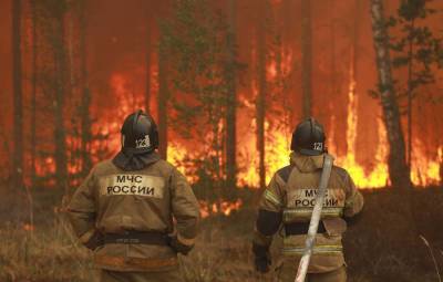 В регионах РФ специалисты тушат лесные пожары площадью 452 га