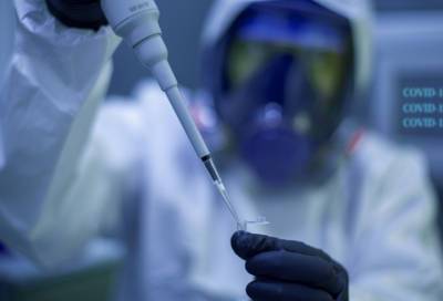 Профессор Костинов посоветовал россиянам прививаться от гриппа после вакцинации от коронавируса