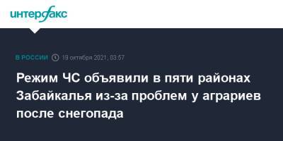 Режим ЧС объявили в пяти районах Забайкалья из-за проблем у аграриев после снегопада