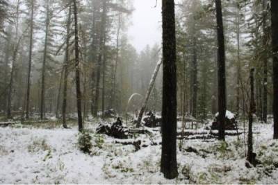В 5 районах Забайкальского края введен режим ЧС из-за снегопадов