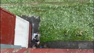 Южносахалинцы ждут полицию с пробами жидкости, вылитой неизвестным возле их дома
