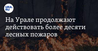 На Урале продолжают действовать более десяти лесных пожаров