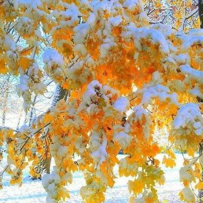 Первый снег в Татарстане ожидается 20 октября