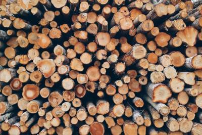 Обновили перечень мест продажи в Бурятии недорогой древесины