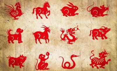 Знаки зодиака по китайскому гороскопу, которым крупно повезет в конце октября
