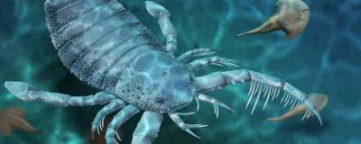 В Китае обнаружили окаменелые останки огромного «морского скорпиона»