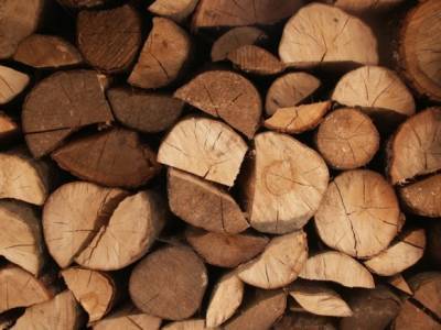 В Финляндии начали продавать дрова в автоматах