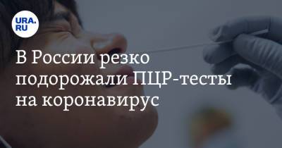 В России резко подорожали ПЦР-тесты на коронавирус