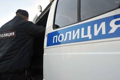 Полиция нашла пропавших в Красноярском крае 11-летних девочек