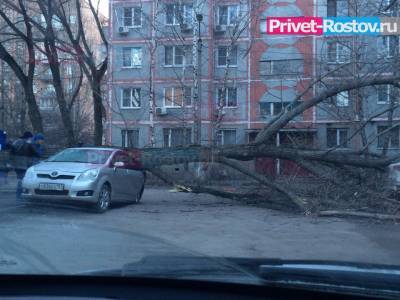 В Ростовскую область идет ураганный ветер, а температура упадет до +4⁰С