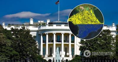 США опубликовали видео в поддержку Украины с перевернутым флагом