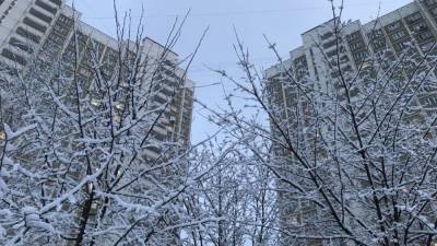 Первый снег выпал в Москве 19 октября