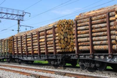 Казахстан запретил экспортировать лесоматериалы