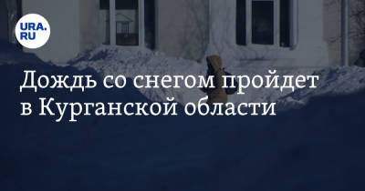 Дождь со снегом пройдет в Курганской области