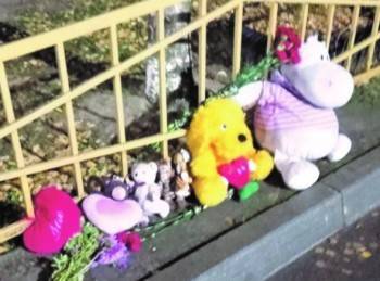 В Вологде к дому убитой 9-летней Софии продолжают нести цветы и игрушки