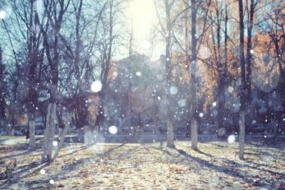 Петербург встретил первый снег