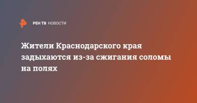 Жители Краснодарского края задыхаются из-за сжигания соломы на полях