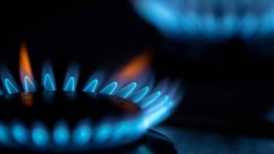 Панкин назвал невыгодными высокие цены на газ для производителей