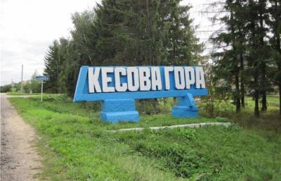 За незаконное использование герба Кесовогорского района оштрафовали жителя Тверской области