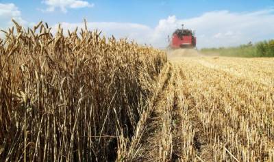 Русофобию на хлеб не намажешь: Латвии не обойтись без российской агропродукции