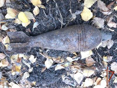 В Челябинске в лесу нашли боевую мину, которая могла взорваться