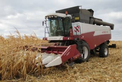 Тамбовские аграрии планируют собрать свыше 1 миллиона тонн кукурузы