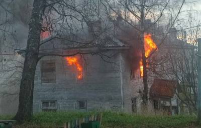 «Руки бы оторвать». Подростки сожгли аварийный дом в Карелии