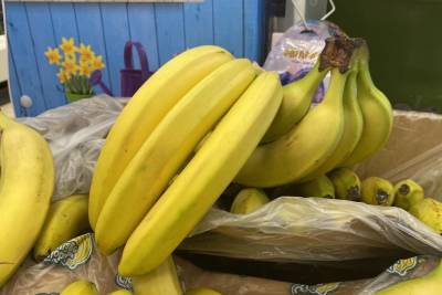 В какое время суток полезнее есть бананы, рассказали ученые