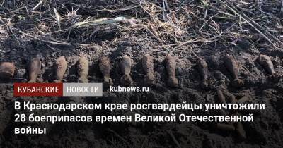 В Краснодарском крае росгвардейцы уничтожили 28 боеприпасов времен Великой Отечественной войны