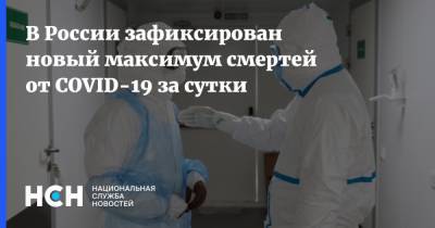 В России зафиксирован новый максимум смертей от COVID-19 за сутки