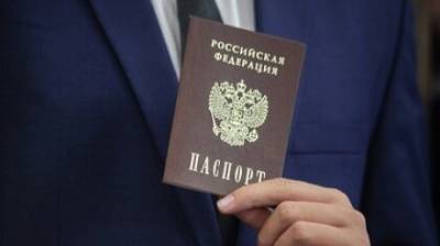 В России электронный паспорт представят в двух видах