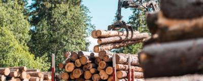 Казахстан запретил вывоз леса из страны на шесть месяцев