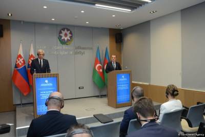 В Баку проходит совместная пресс-конференция глав МИД Азербайджана и Словакии - Прямая трансляция (ФОТО)