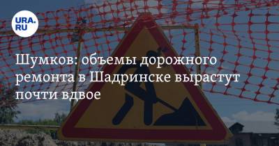Шумков: объемы дорожного ремонта в Шадринске вырастут почти вдвое