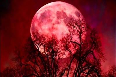"Кровавая" Луна 20 октября: что нужно и нельзя делать