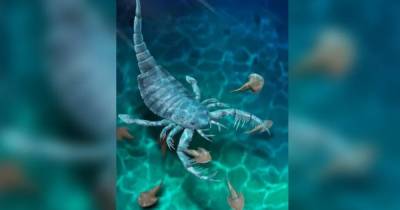 Размером с собаку. Ученые нашли древнего морского скорпиона, жившего 435 млн лет назад