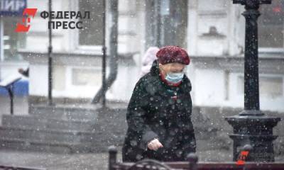Петербуржцам пообещали мокрый снег и гололедицу