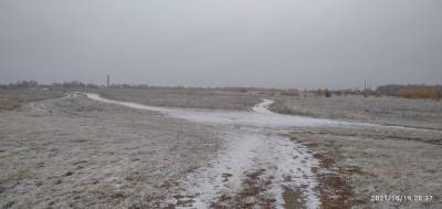В Рязанской области выпал первый снег