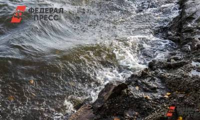 В Красноярском крае расчистят русло Минусинки