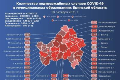 В Брянской области подтвердился коронавирус у 357 человек