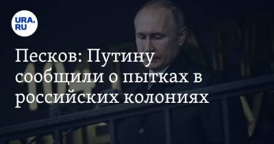 Песков: Путину сообщили о пытках в российских колониях
