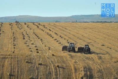 В Дагестане оцифрованы земли сельхозназначения 16 муниципалитетов