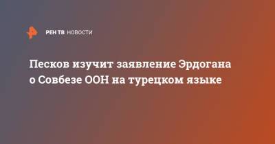 Песков изучит заявление Эрдогана о Совбезе ООН на турецком языке