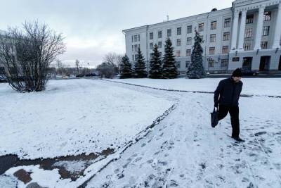 Синоптики рассказали, когда в Псковской области выпадет снег