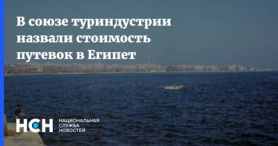 Дмитрий Горин - В союзе туриндустрии назвали стоимость путевок в Египет - nsn.fm - Россия - Египет - Турция