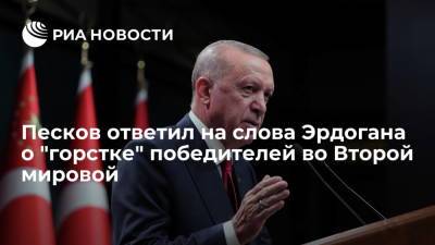 Песков о словах Эрдогана о "горстке" победителей в СБ ООН: Россия верна уставу организации